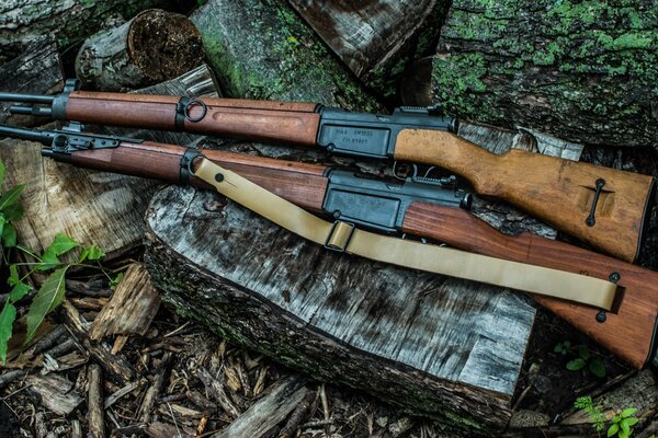 Two rifles are lying on a stump