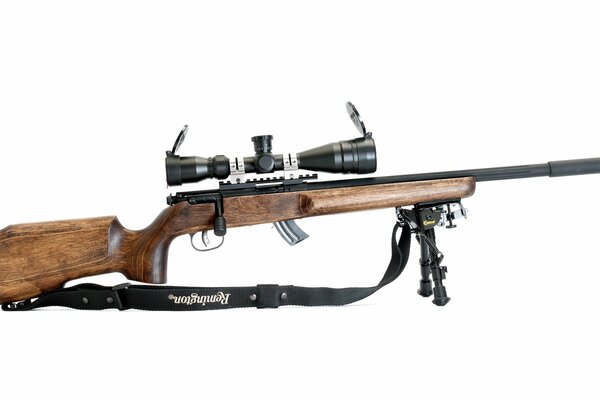 Sniper Rifle Target weapon