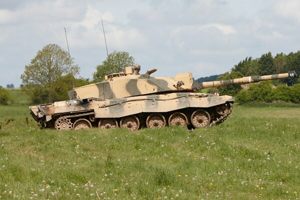 Battle tank armored vehicles in the field