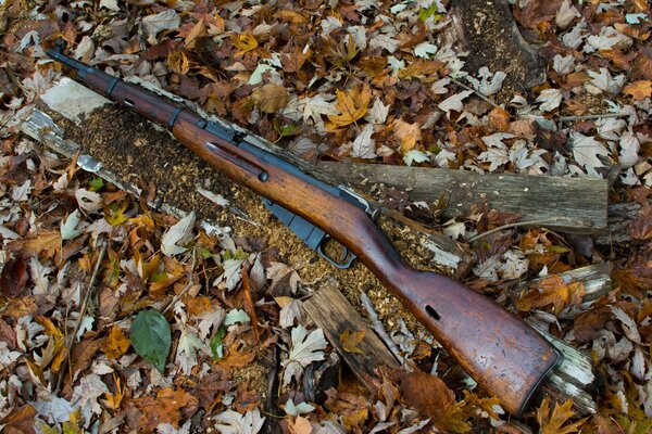 Rifle mosin en una alfombra de hojas caídas