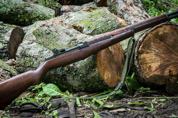 Self-loading rifle in the summer forest