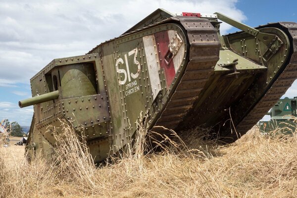 Ein schrecklicher Panzer isst auf dem Feld