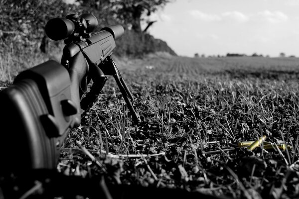 Gewehr auf Gras in Schwarz und Weiß