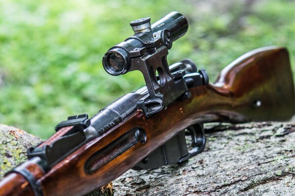 Fusil de sniper de magasin sur une bûche