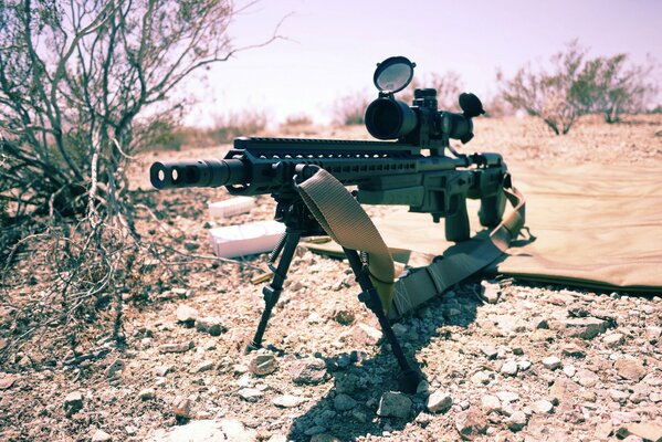 Assault Rifle with optics