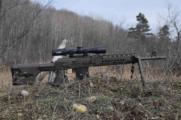 Sniper rifle with a sight in the forest on the grass