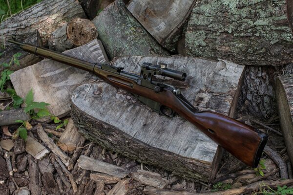 Fusil de sniper repose sur des tranches de bois