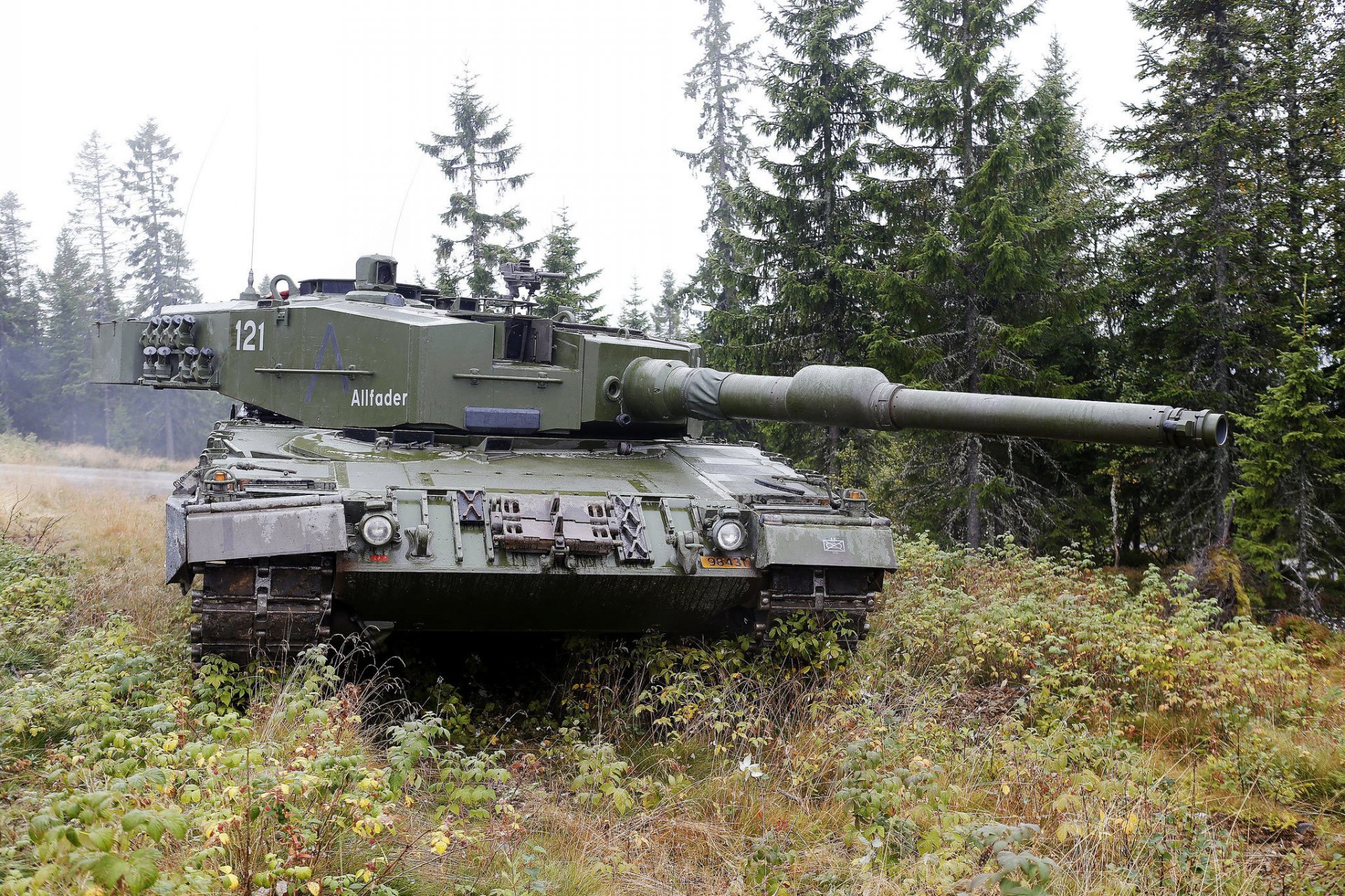 leopard-2 a4 czołg pancerny las trawa