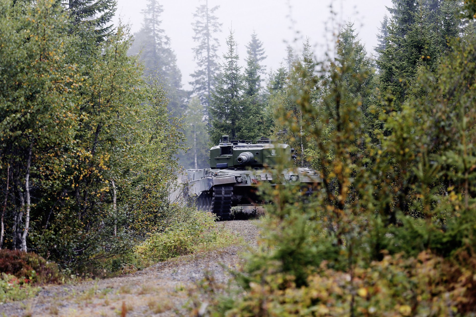 leopard - 2 a4 serbatoio di battaglia veicoli corazzati foresta