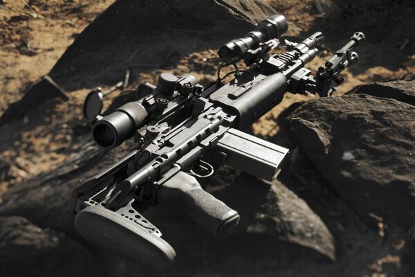 Semi-automatic rifle. Weapons on the rocks