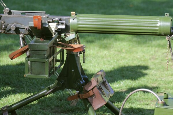 Easel weapons standing on the grass