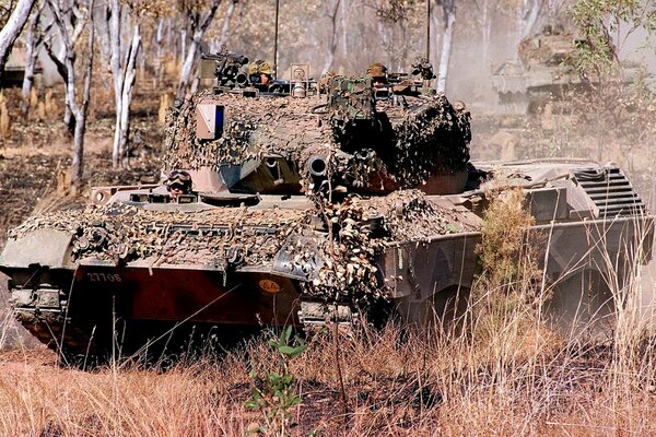 Tanque para Colorear camuflaje, leopardo, Australia