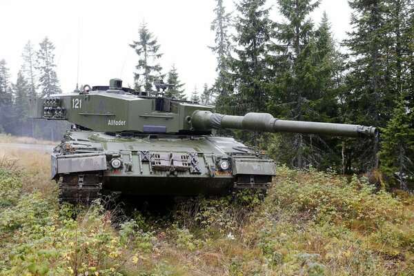 Foto de un tanque de combate en el bosque