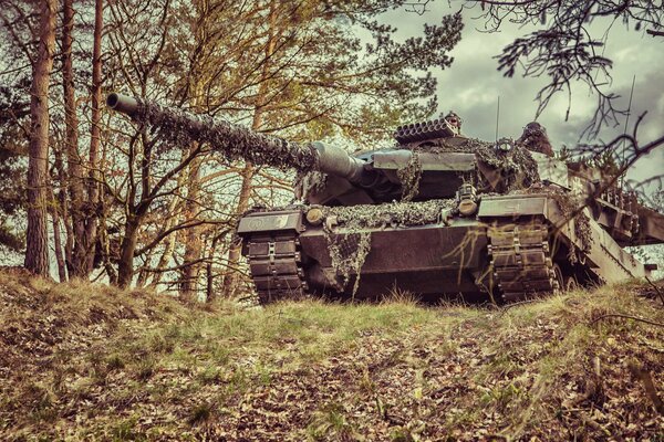 Leopard 2a6m-char sous couverture