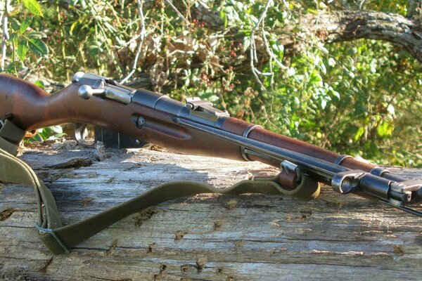 Rifle 1945 del año comprado en Izhevsk en una tienda de armas