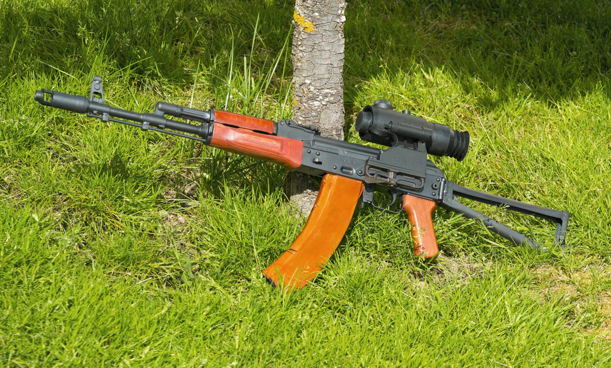 aks-74 automat kałasznikowa celownik trawa