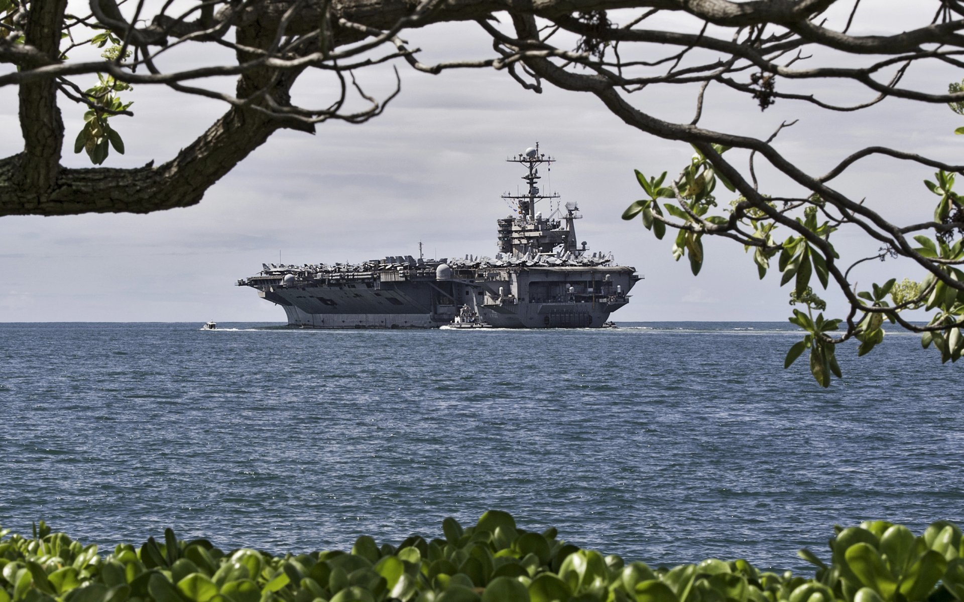 mer militaire navire john c. stennis uss john c. stennis cvn-74 américain porte-avions us navy rivage arbre branches vue