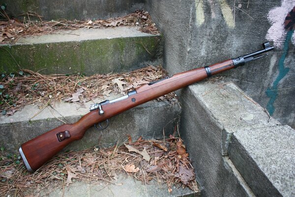 Rifle on the stairs with autumn leaves