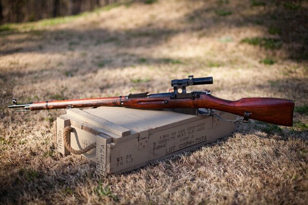 Fusil de sniper se trouve dans le champ sur la boîte