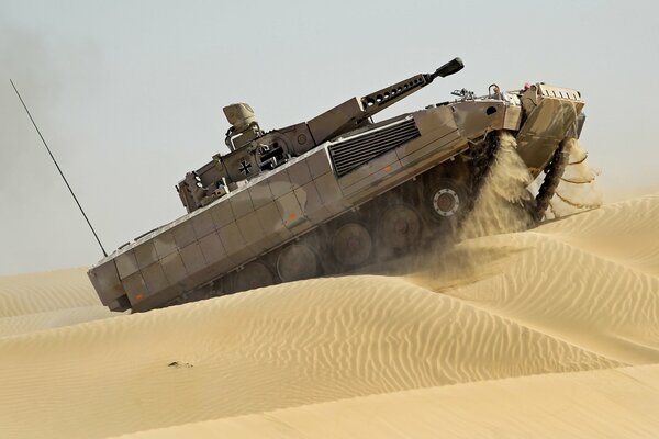 German BMP cougar rides on the sands
