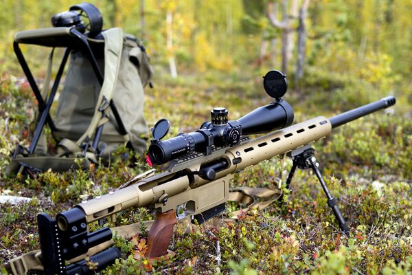 Rifle de francotirador en el campo de la naturaleza