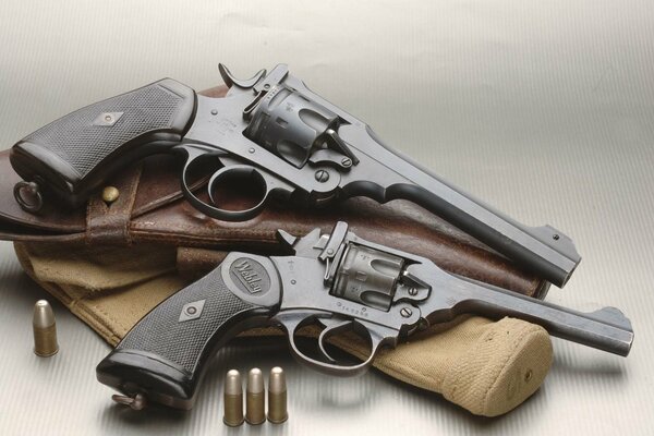 Two revolvers with a holster and cartridges