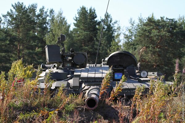 Der Panzer T-80bw ist in einem Hinterhalt verschwunden