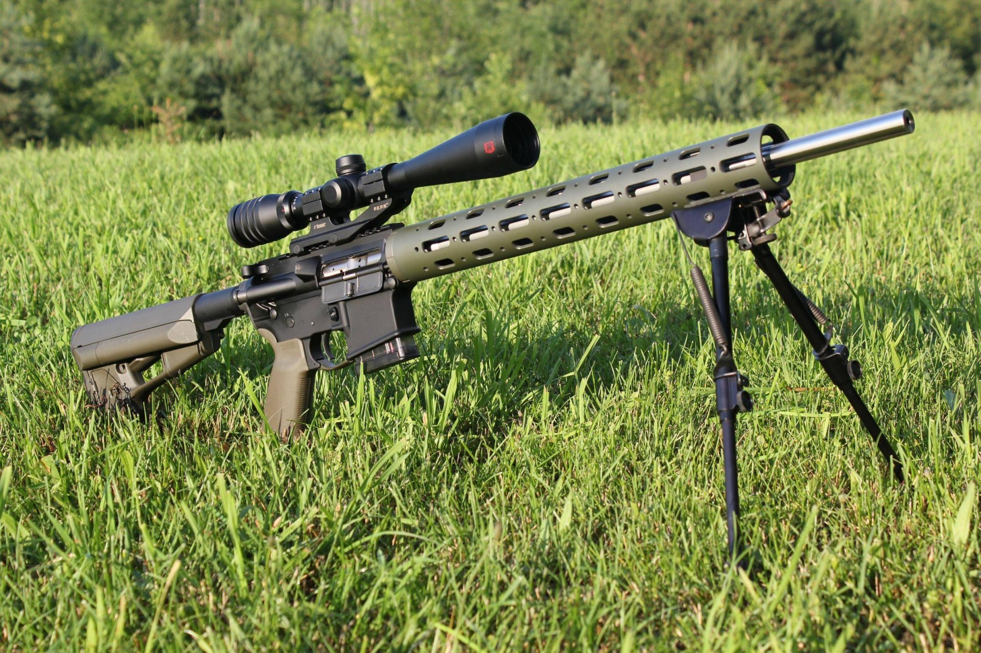 varmint ar-15 modification variante sniper optique bipied herbe