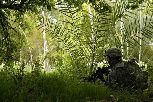 Soldat avec un fusil d assaut se cache dans la forêt