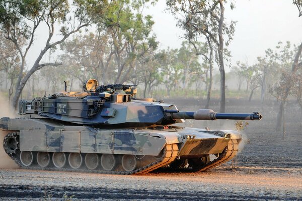 Military tank on the background of the forest