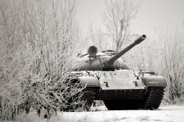 Winterwald. Tank hinter einem Schneebaum