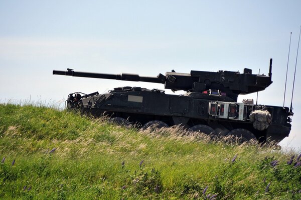 Tanque en el campo con una pistola grande