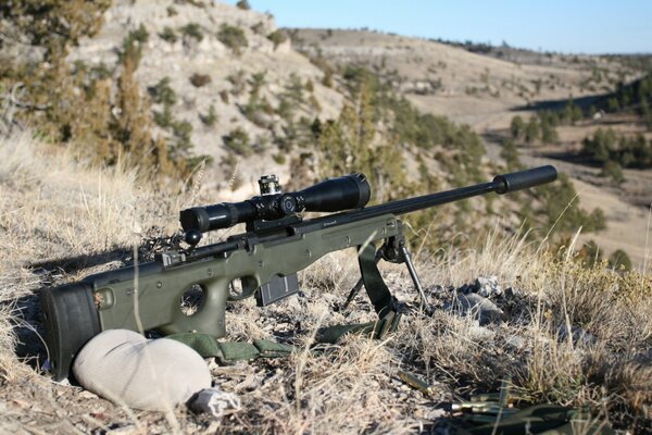 Image of a sniper rifle with an optical sight