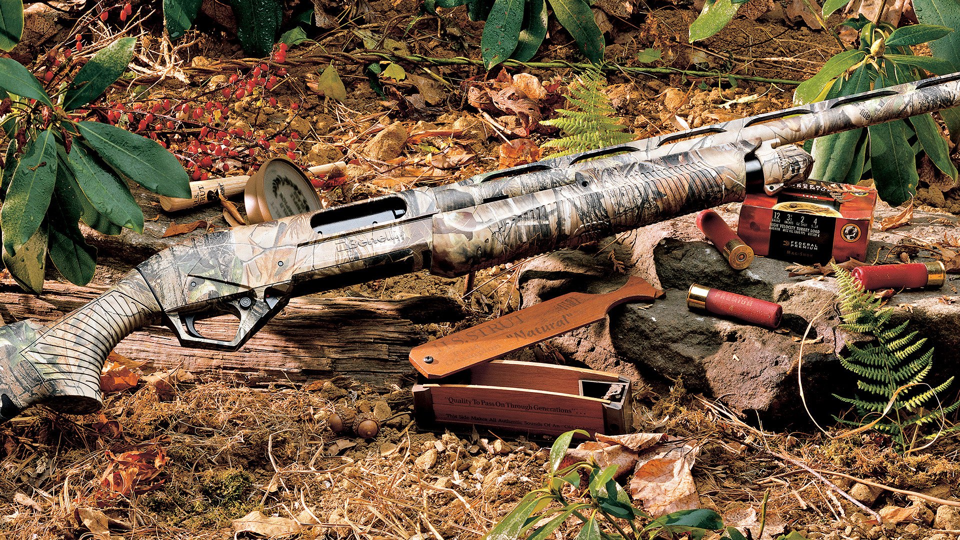 benelli vinci munitions forêt herbe chasse inventaire