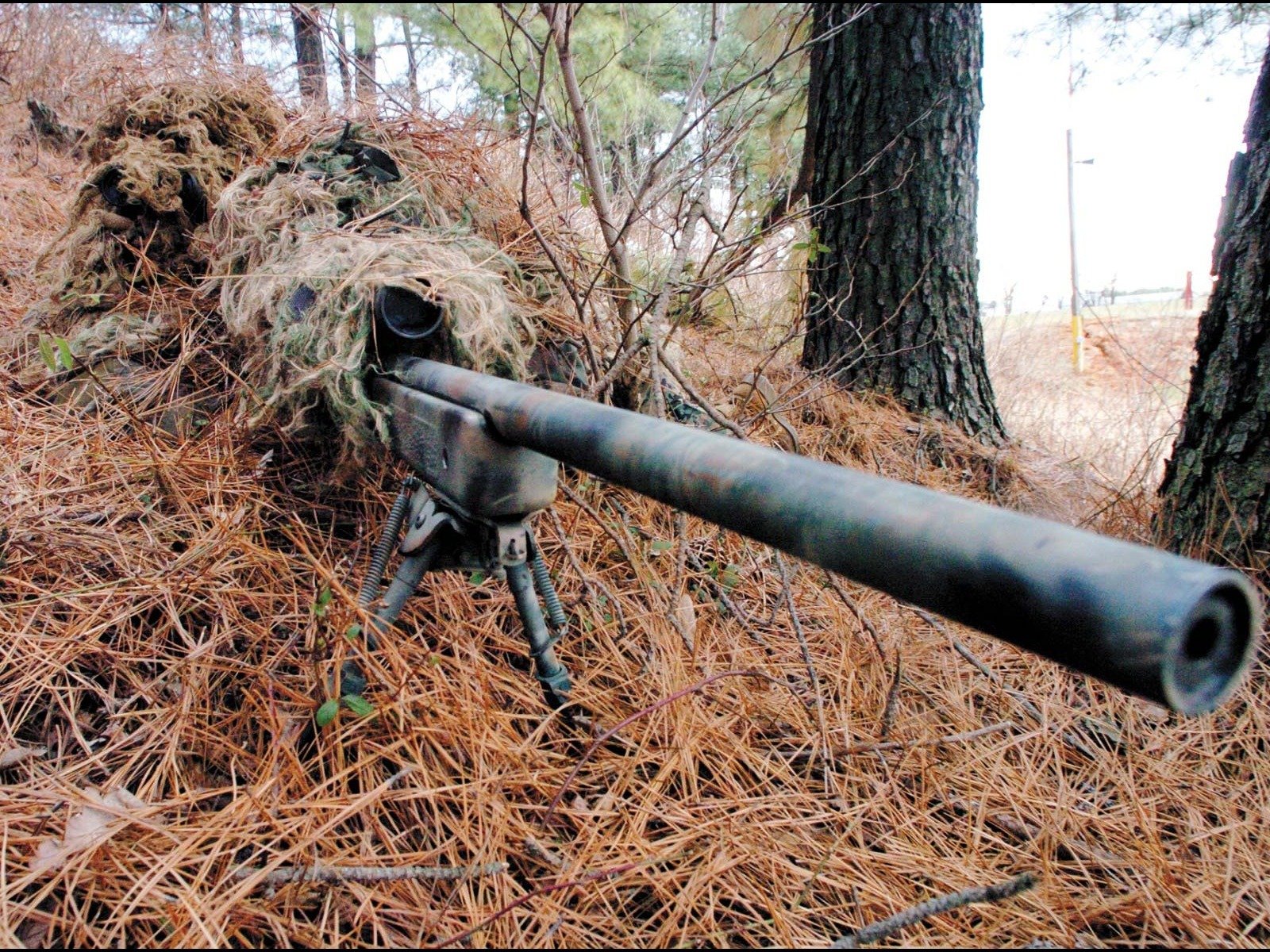 niper weapon sight shelter camouflage