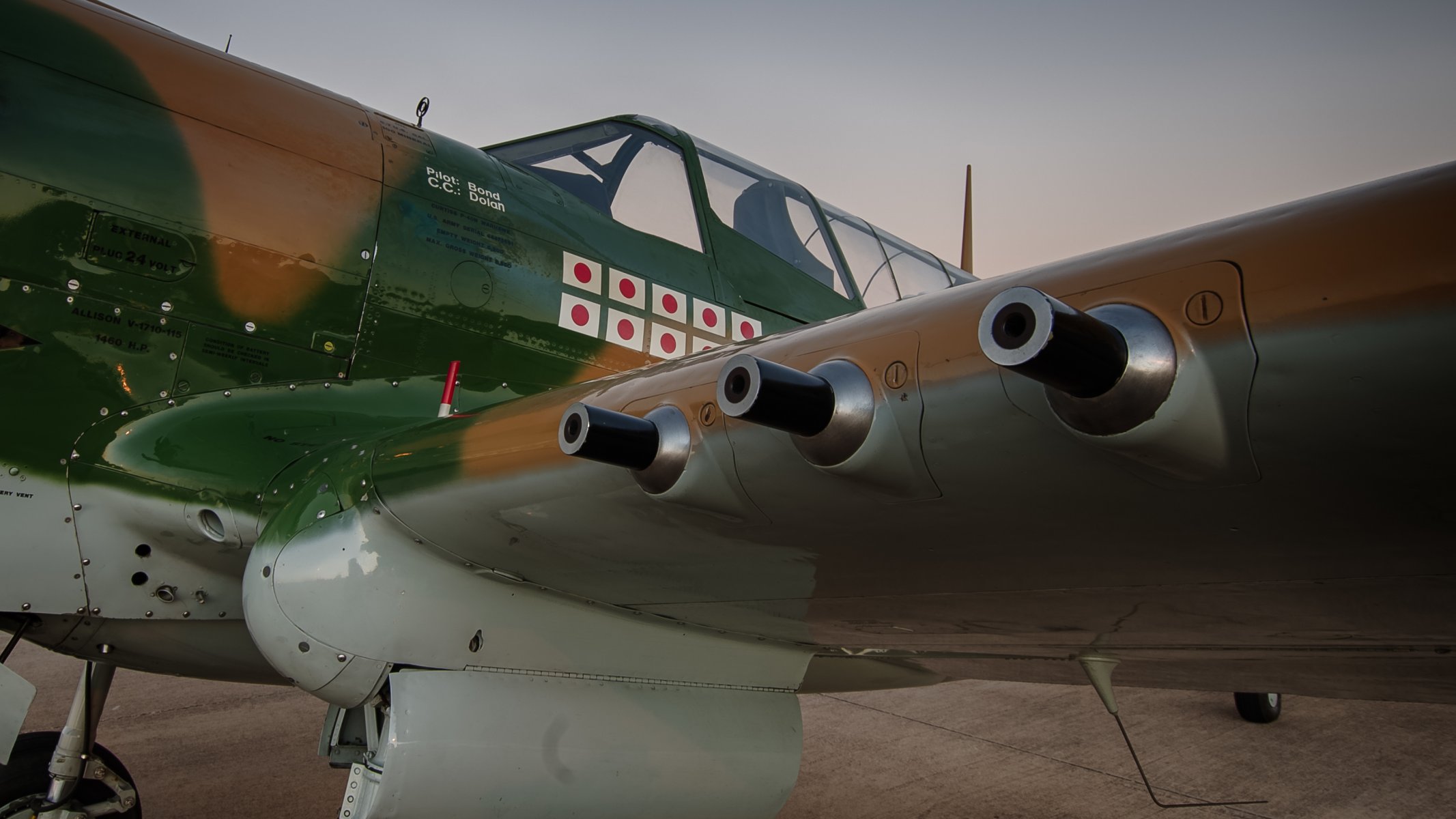 r-40 warhawk caza armas