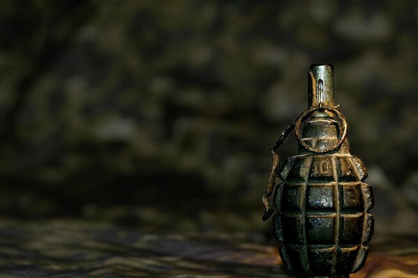 A combat grenade on a neutral background