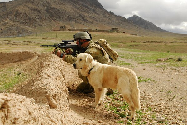 The dog is next to a sniper who is aiming from a machine gun