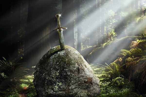 A sword falls on excalibur in the forest
