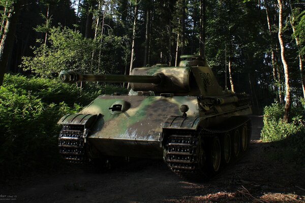 The tank is green, the panther is in the forest