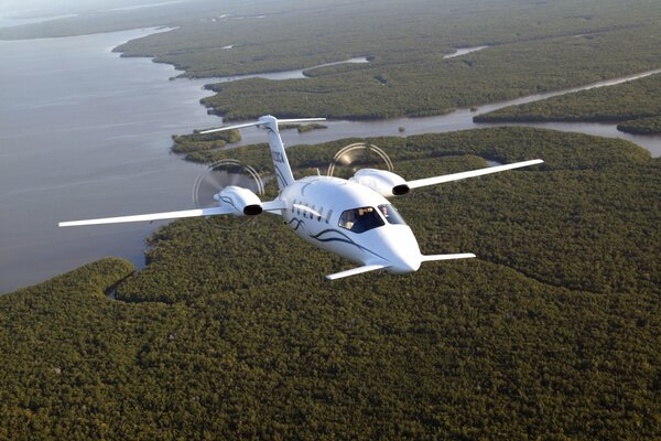 A plane gaining altitude over a forest