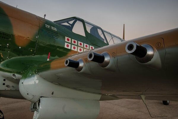 Warhock p-40 Kämpfer auf dem Boden auf grauem Hintergrund