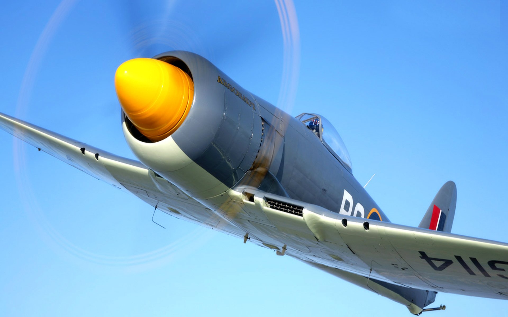 hawker sea rage samolot myśliwiec śmigło