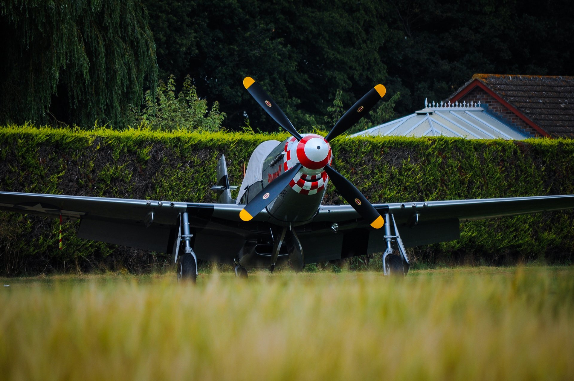 p-51d mustang solo luchador hélices