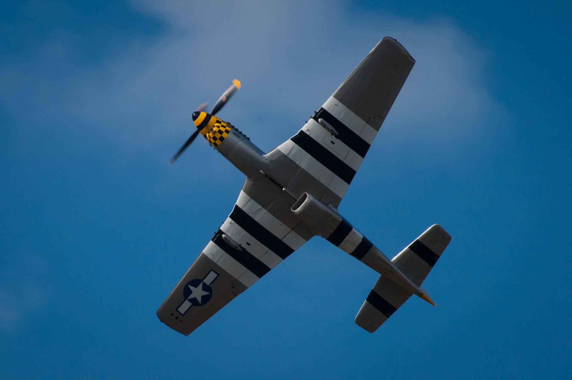 r-51d mustang einzel kämpfer flügel