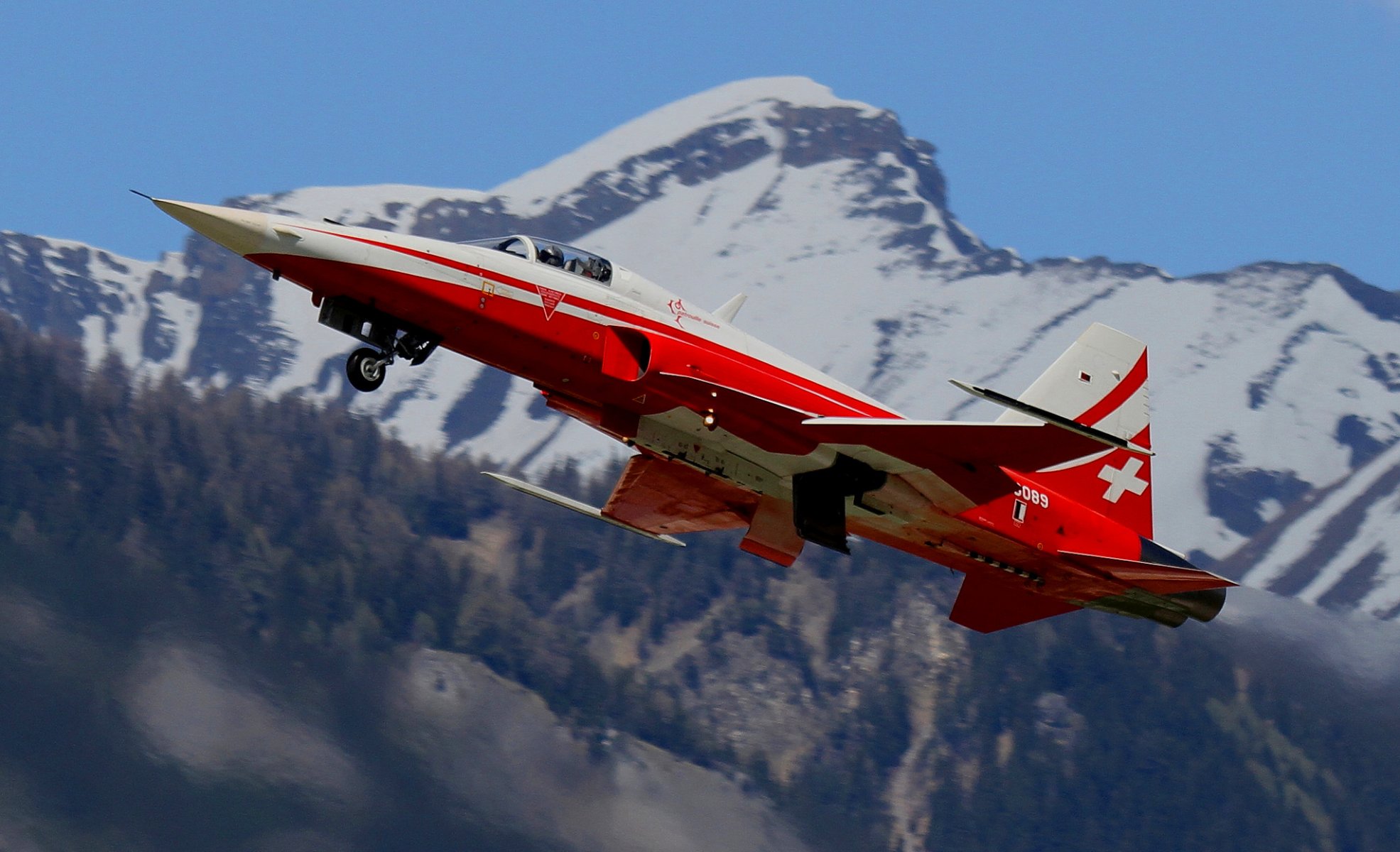 f-5 tiger ii tiger ii polyvalent combattant