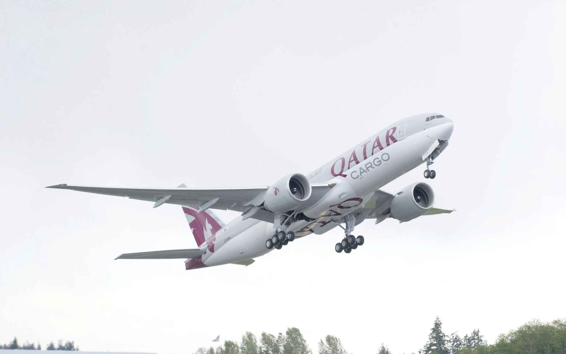 boeing b-777 qatar carga avión tren de aterrizaje motor alas