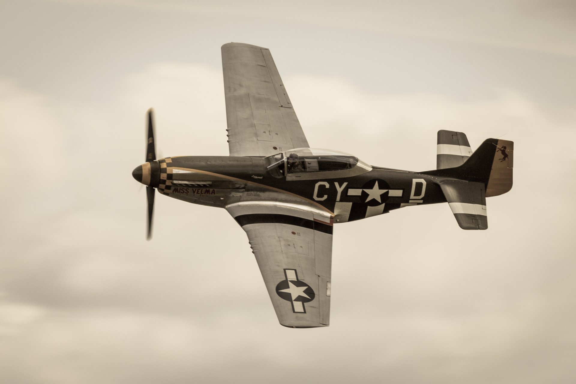 r-51d mustang jednomiejscowy myśliwiec