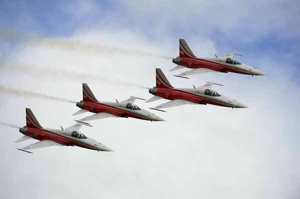 Tiger multipurpose fighter squadron in flight