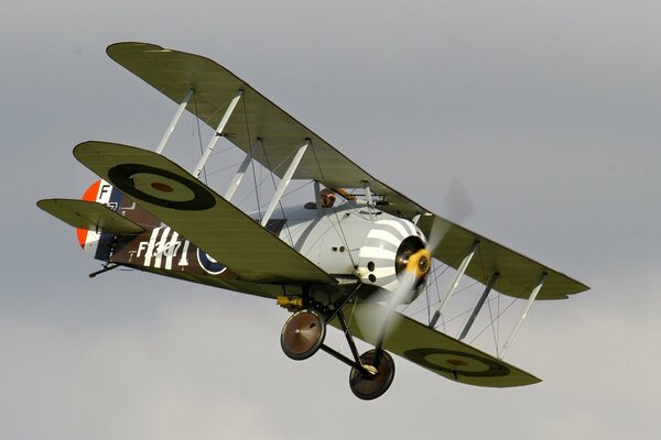 British single First Time War Fighter